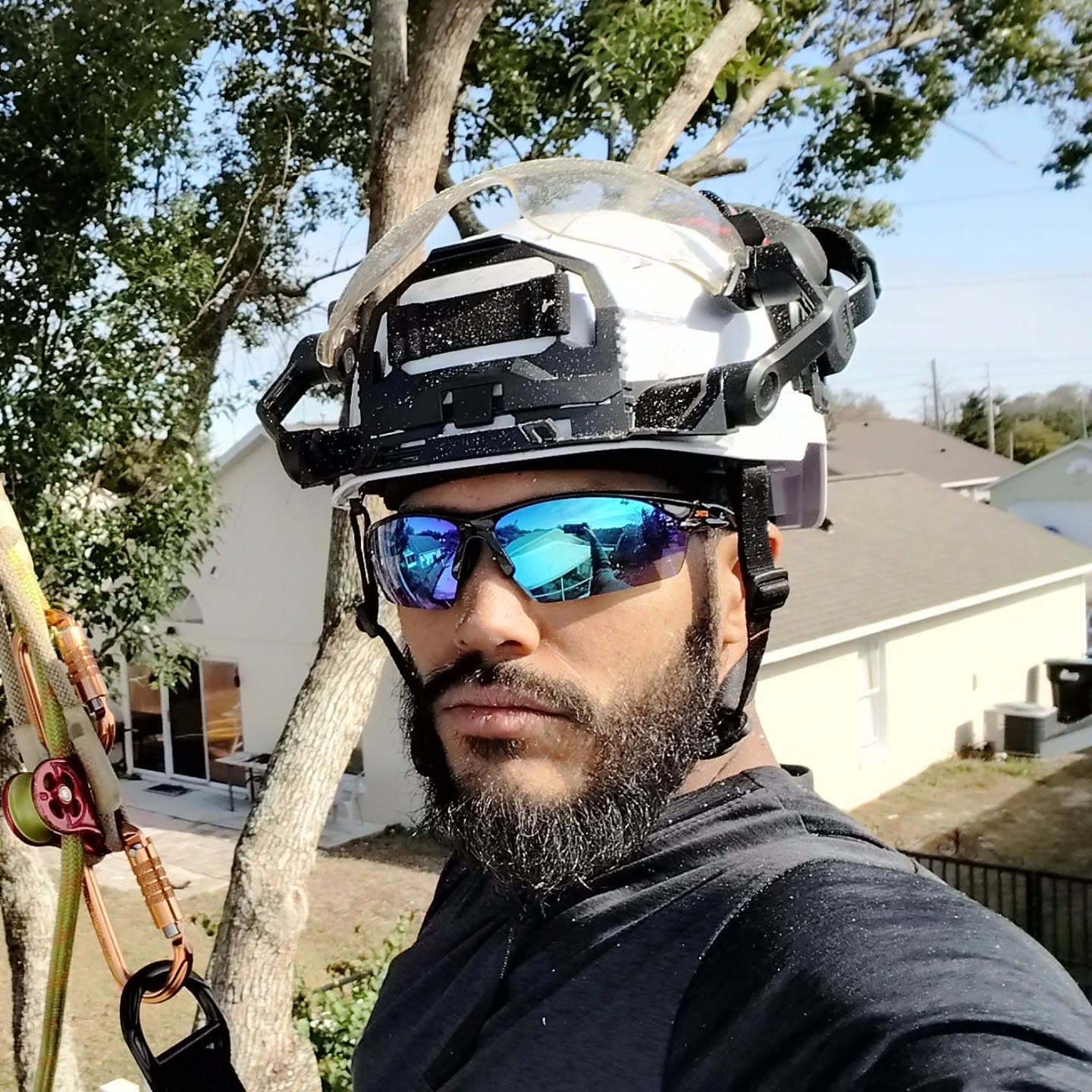 Abner Diaz in helmet and climbing gear, roped into a tree mid-job