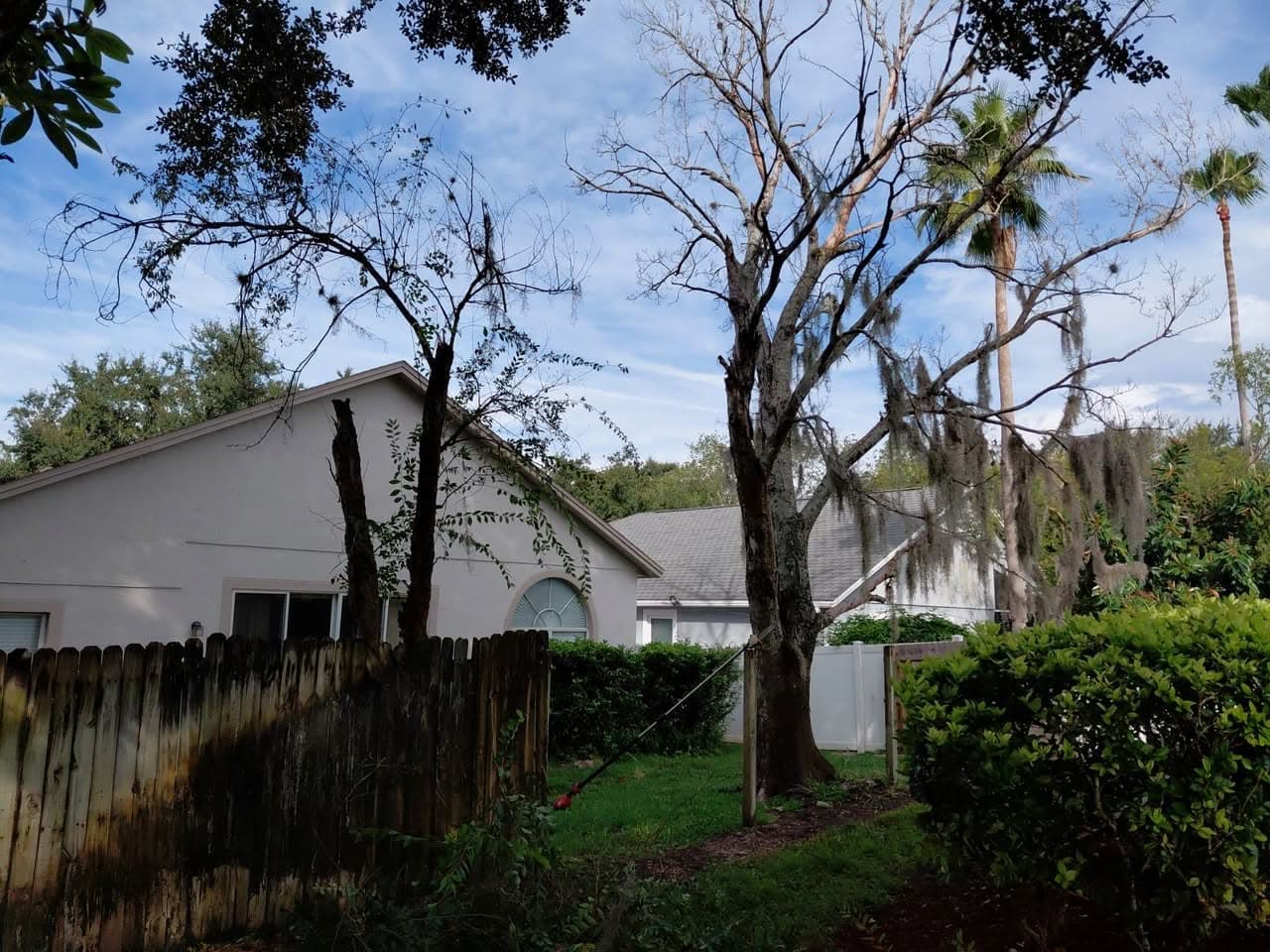 Storm cleanup in progress