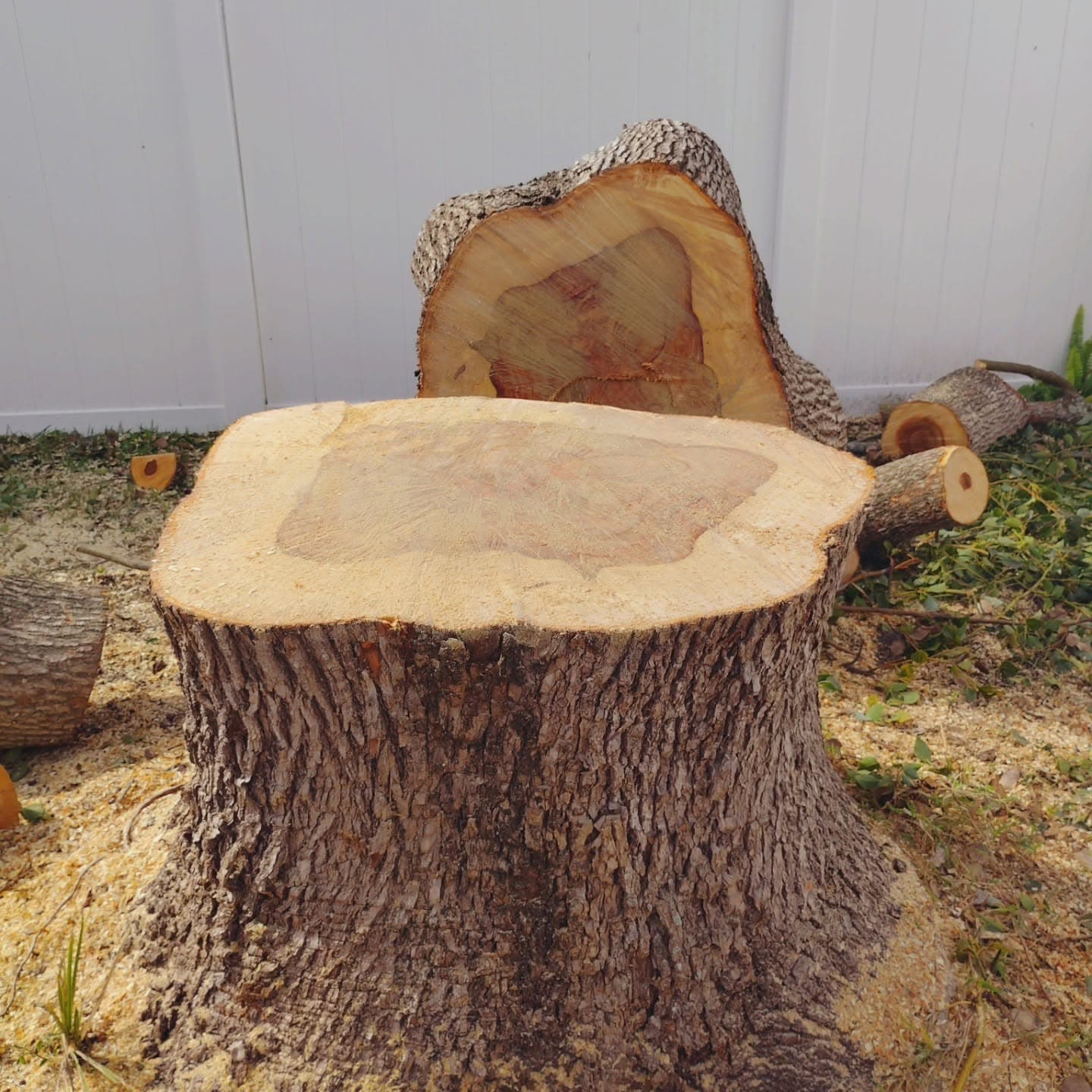 Flush cut, ready for grinding